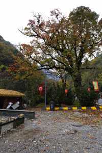 秦嶺留壩環線之情人谷