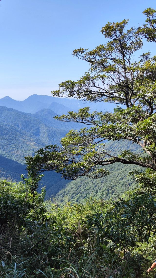 廣東版武功山|惠州大南山徒步攻略