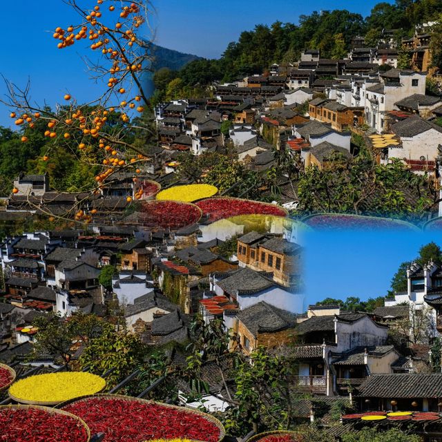 絕美秋色！齊雲山一日精華遊攻略 