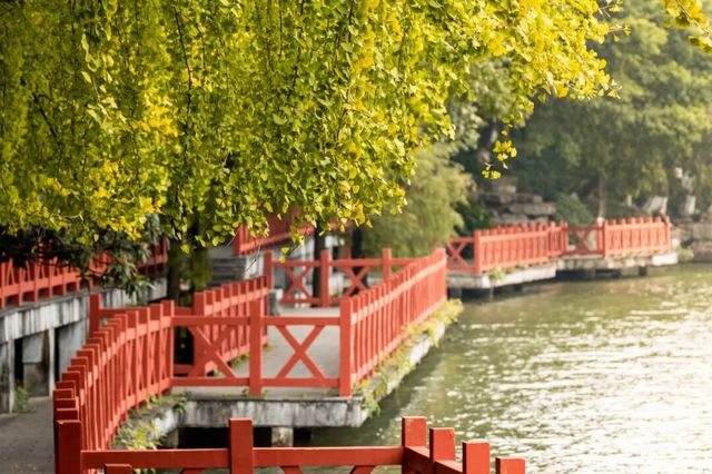 11月桂林深秋漫遊全攻略錯過等一年