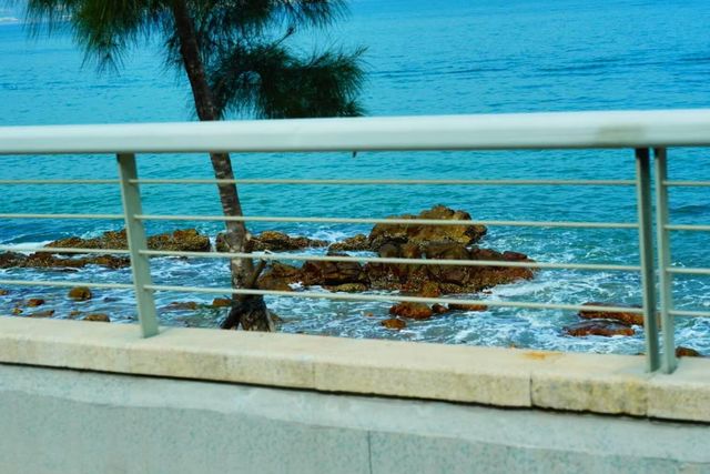 椰子林與海的完美邂逅