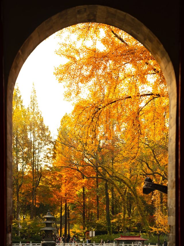 南京|沒有一座山比棲霞更懂秋天