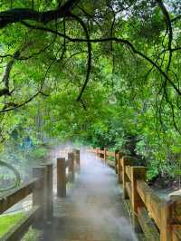 福建必玩！一日玩轉岱仙瀑布，拍出震撼人心的瀑布美照！