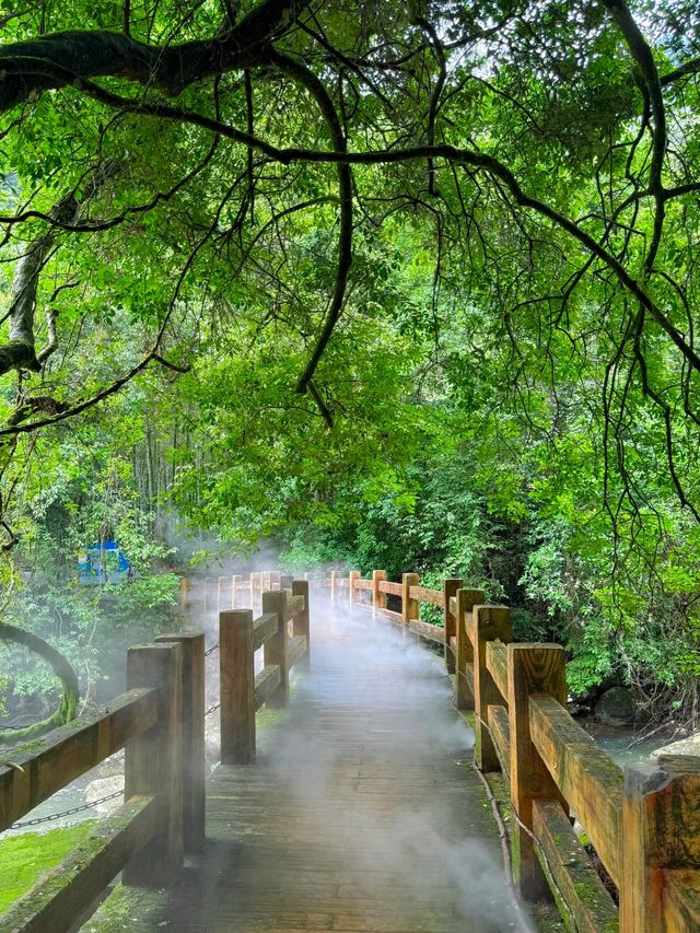 福建必玩！一日玩轉岱仙瀑布，拍出震撼人心的瀑布美照！