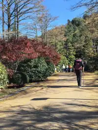 四明山十字褲徒步 上海-餘姚