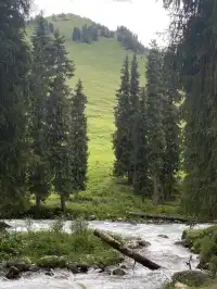 新疆伊犁8天暴走行程|自由行旅遊攻略