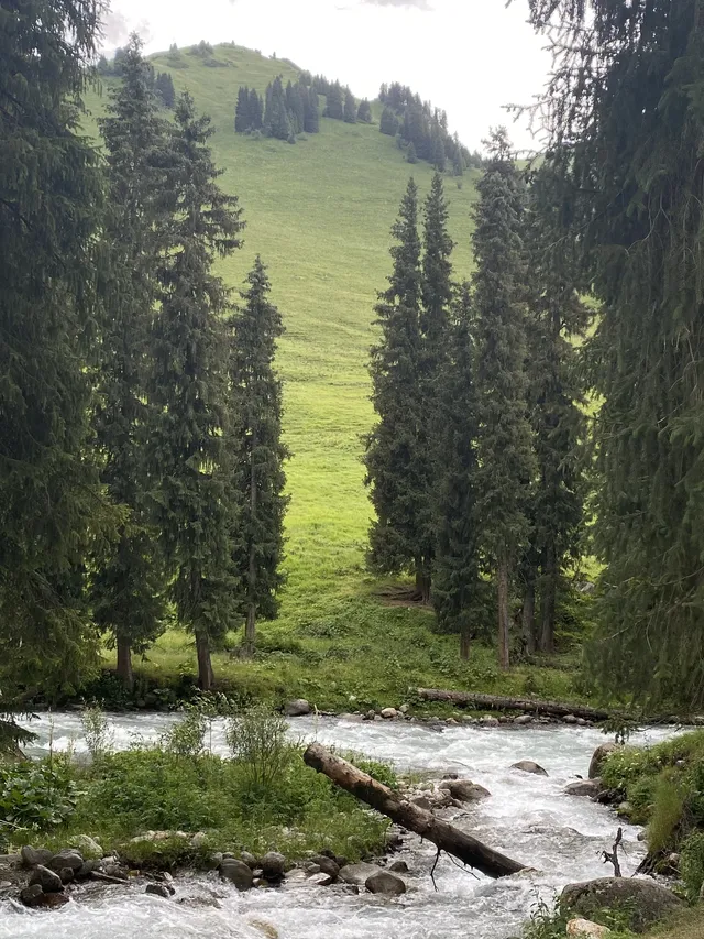 新疆伊犁8天暴走行程|自由行旅遊攻略 新疆伊犁8天暴走行程|自由行旅遊攻略