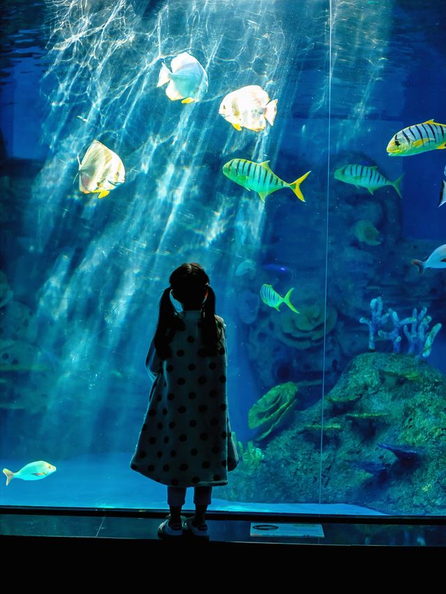 本地人親測,這裡就是泉州遛娃天花板 本地人親測,這裡就是泉州遛娃天花板