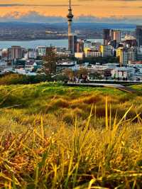 【奧克蘭伊甸山|闖入沉睡的火山口,我找到了城市上方的自由】