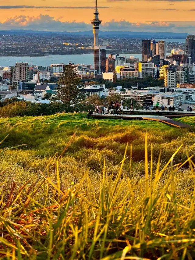 【Mount Eden, Auckland｜Breaking into the sleeping volcanic crater, I found freedom above the city】