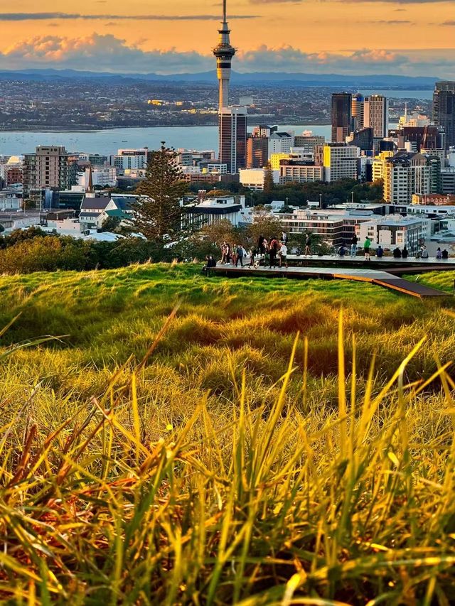 【奧克蘭伊甸山|闖入沉睡的火山口,我找到了城市上方的自由】 【奧克蘭伊甸山|闖入沉睡的火山口,我找到了城市上方的自由】