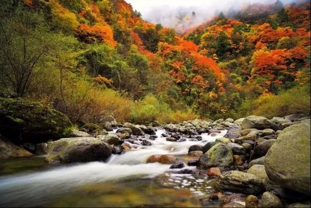 【唐家河秘境】小眾旅行玩法攻略！