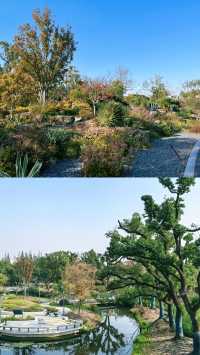 市區莫奈花園!人均40元玩轉四季花海