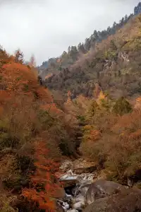 平武老河溝|小眾彩林秘境徒步全攻略