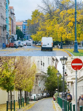 Hungary | The Castle and Autumn in Budapest
