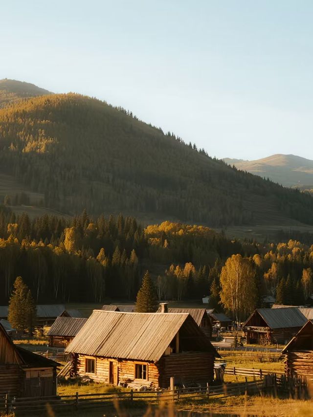 禾木親子1日遊攻略帶娃解鎖雪山秋景
