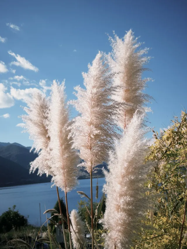 秋冬季遊瀘沽湖，人少景美性價比之王