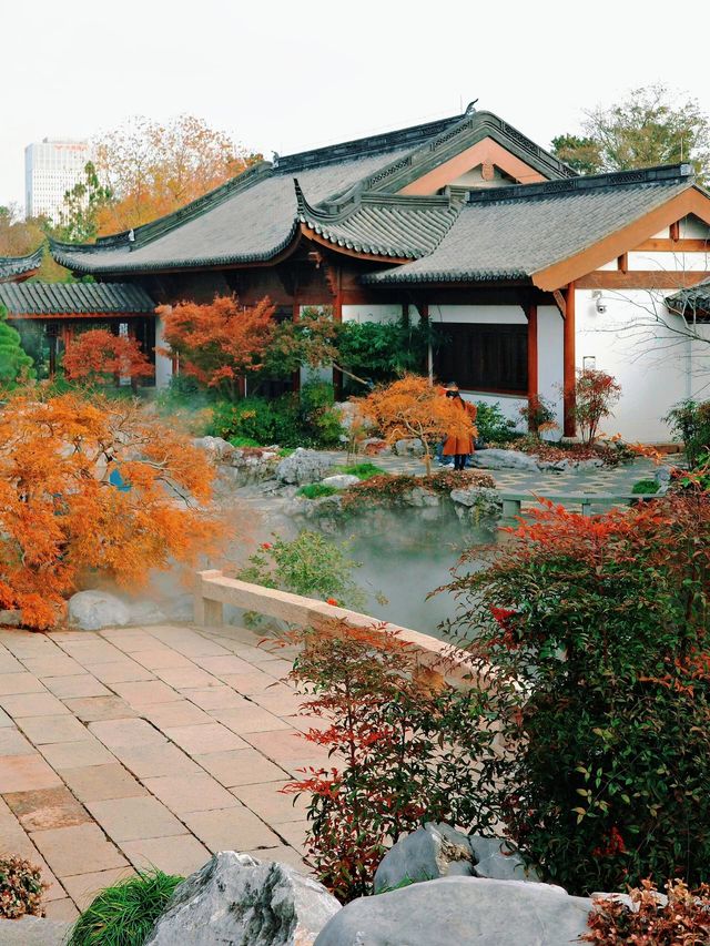 上海世博文化公園裡隱藏的寶藏園林!申園也太仙了叭~ 上海世博文化公園裡隱藏的寶藏園林!申園也太仙了叭~