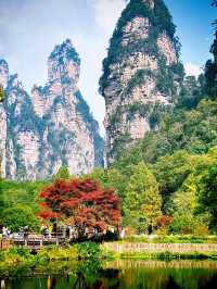 秋染武陵源,張家界的美,是上帝遺落的油畫!