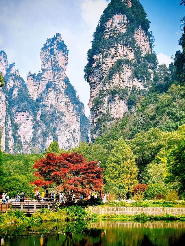 秋染武陵源,張家界的美,是上帝遺落的油畫! 秋染武陵源,張家界的美,是上帝遺落的油畫!