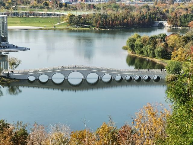 魔都秋色打卡 魔都秋色打卡