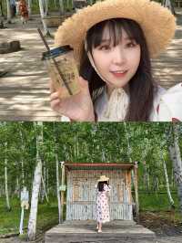 藍天白雲下的童話秘境內蒙古的森林草原童話