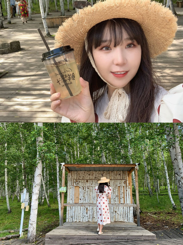 藍天白雲下的童話秘境內蒙古的森林草原童話 藍天白雲下的童話秘境內蒙古的森林草原童話