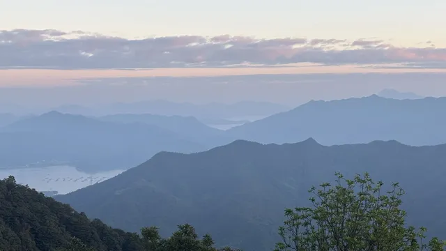 偶遇梧桐日落 偶遇梧桐日落