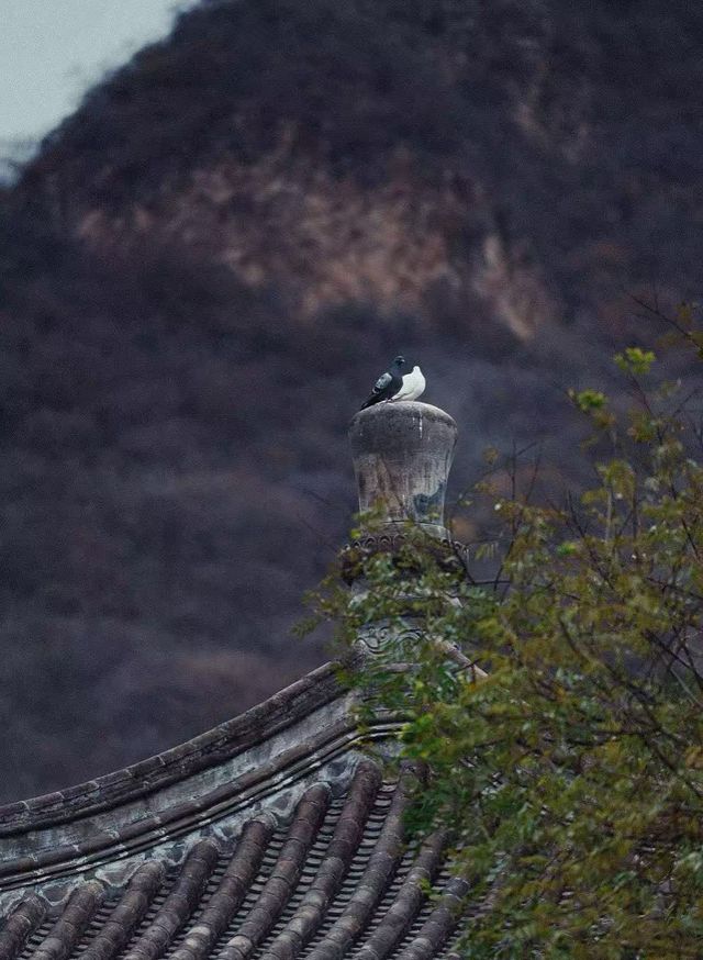 稷山酒店套房攻略