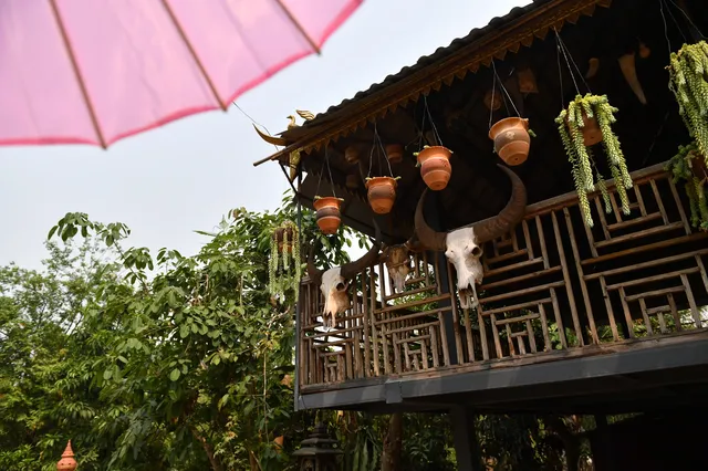 西雙版納citywalk 西雙版納citywalk