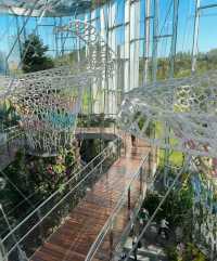 躲進城市雨林秘境