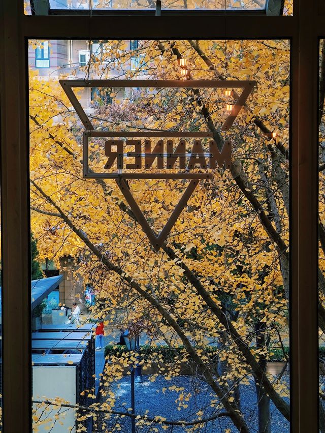 12.9live黃金城道銀杏實拍