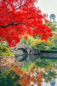 上海魔都秋日封神0元拍出國風大片