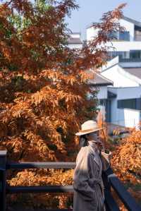 秋天的千島湖到底有多美答案都藏在這裡啦