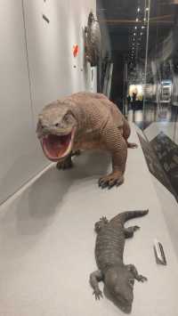 保定必看人文展館推薦