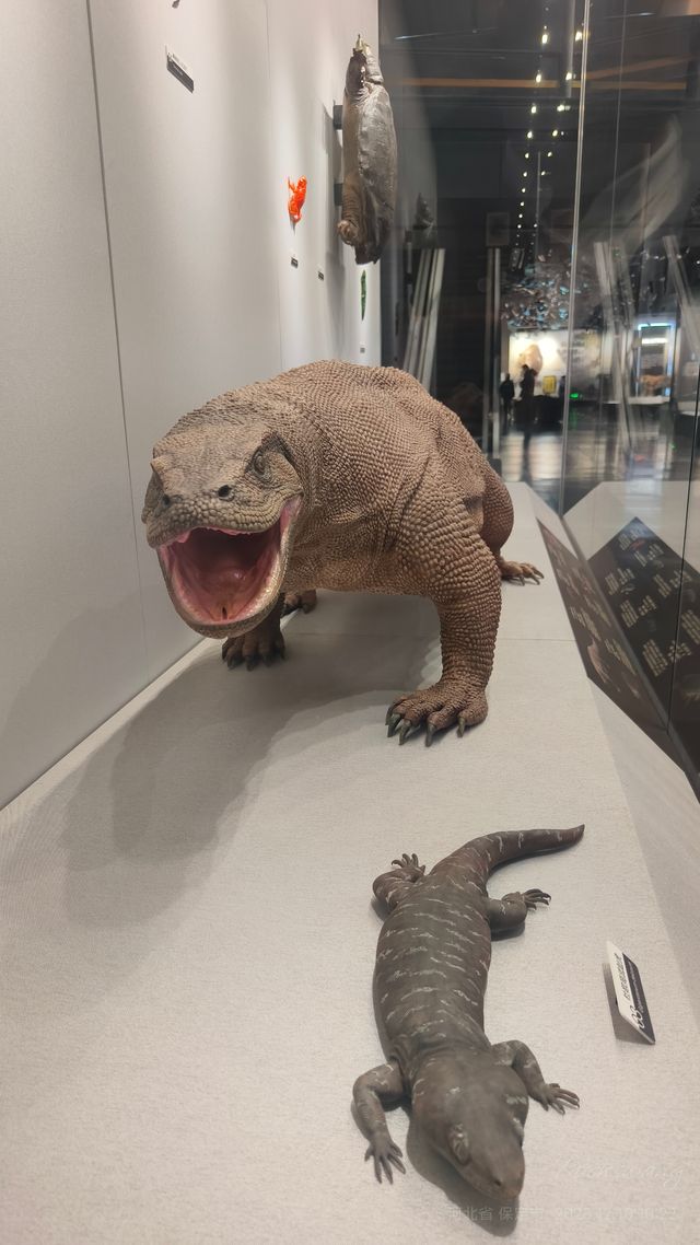 保定必看人文展館推薦 保定必看人文展館推薦