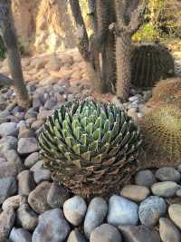 建水五龍湖四重奏