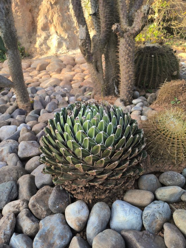 建水五龍湖四重奏 建水五龍湖四重奏