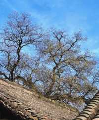 不敢想像這裡的夏天有多美