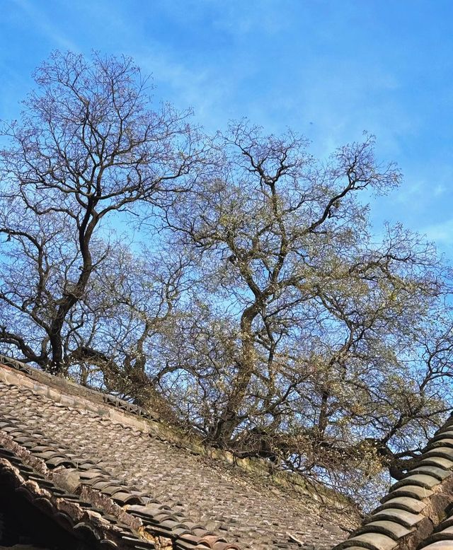 不敢想像這裡的夏天有多美 不敢想像這裡的夏天有多美