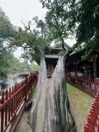 太原旅行|行程記錄單-流水帳