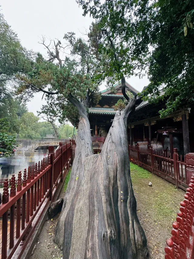 太原旅行|行程記錄單-流水帳 太原旅行|行程記錄單-流水帳