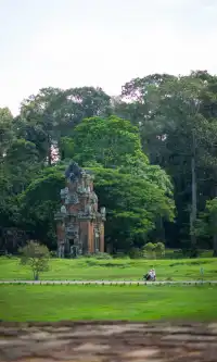 叢林裡的吳哥窟