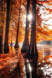 連夜來到南京只為拍到這幾張