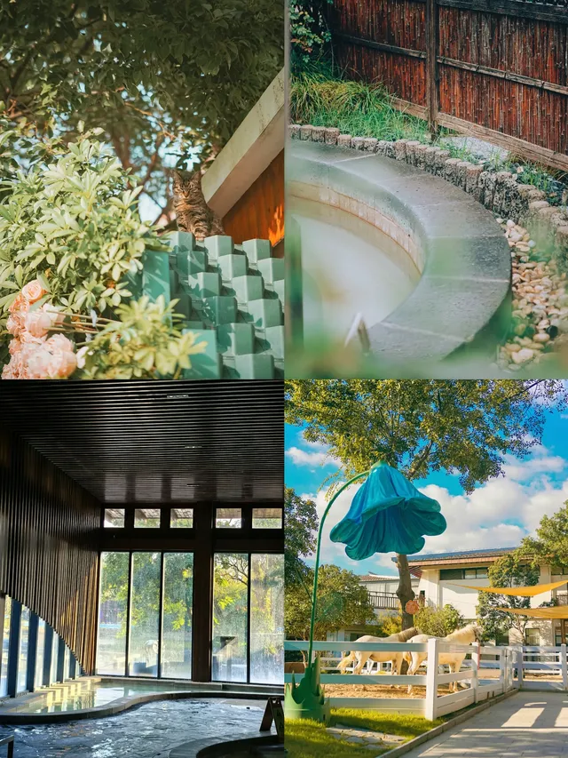 帶父母出遊,這裡成了他們的“誇誇群” 帶父母出遊,這裡成了他們的“誇誇群”