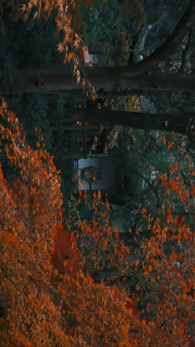 吊打京都沒人告訴我杭州的秋天這麼頂啊 吊打京都沒人告訴我杭州的秋天這麼頂啊