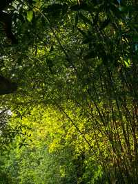 溫暖元江,放鬆心靈的原鄉!