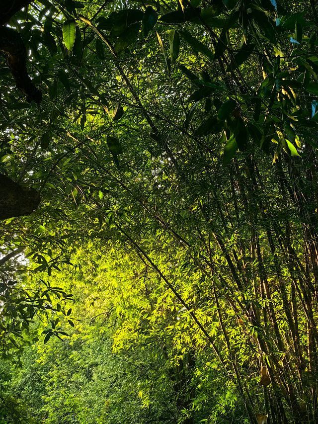 溫暖元江,放鬆心靈的原鄉! 溫暖元江,放鬆心靈的原鄉!