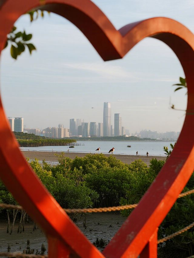 深圳冬日親子遛娃 福田紅樹林三大景區全攻略！