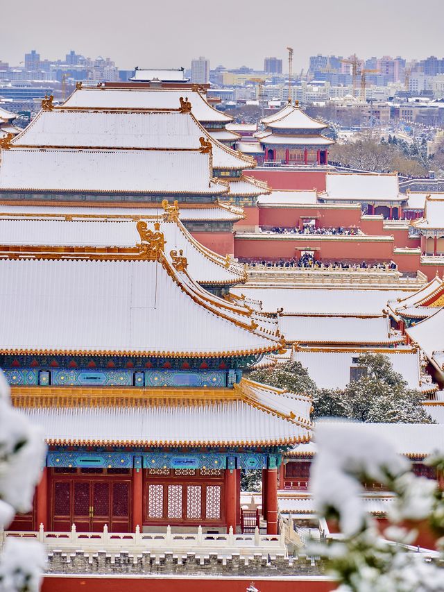 降溫了，開始期待北京的初雪